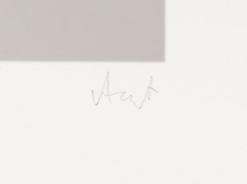 Ralf Arzt, "Draped in Sand".