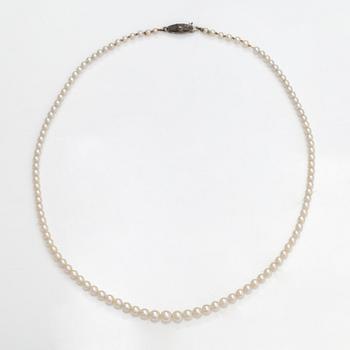 A pearl collier with cultured pearls and a silver lock.