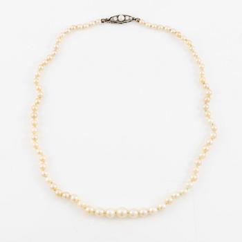 Pearl necklace, with graduated cultured pearls, clasp in gold set with brilliant-cut diamonds and a pearl.
