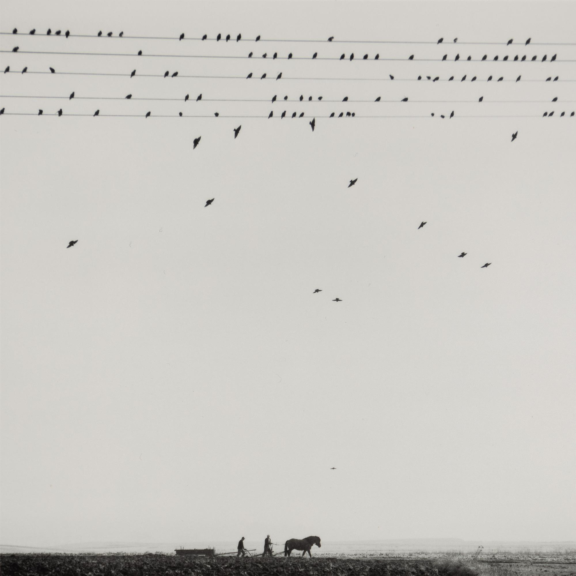 Pentti Sammallahti, "Krakova, Puola, 2005".