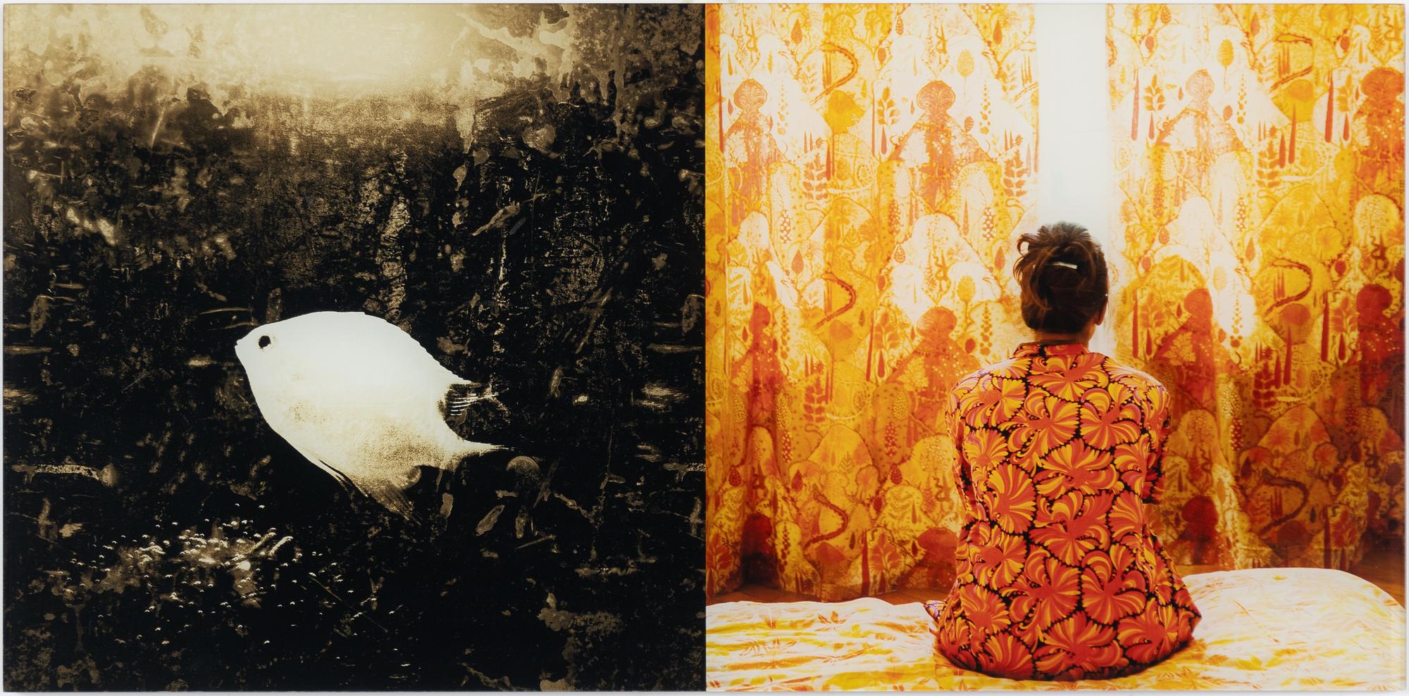 Lena Katarina Johansson, Untitled.