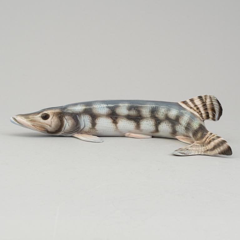 OTTMAR OBERMAIER, a porcelain figurine of a pike, Rosenthal, Germany.