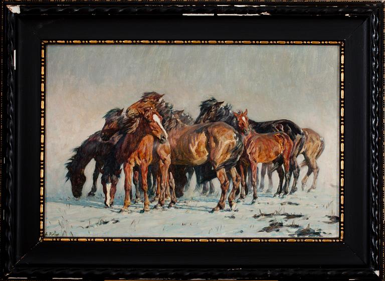 Alfred Roloff, WILD HORSES.
