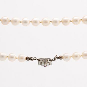 PEARL NECKLACE, cultured pearls approx 7 mm, clasp 18k whitegold cultured pearls and 1 ruby, approx length 93 cm.