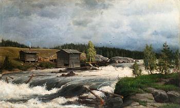 202. Thorsten Waenerberg, VIEW OVER THE RAPIDS.