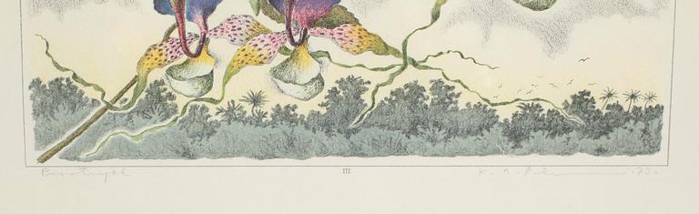 KARL AXEL PEHRSON, 2st,  färglitografier, signerade, numrerad H.C XXVI/XXXV samt provtryck. Daterade -73/74.