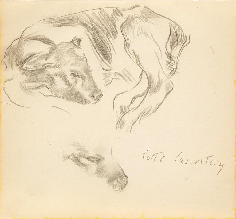 Lotte Laserstein, Study of a calf.