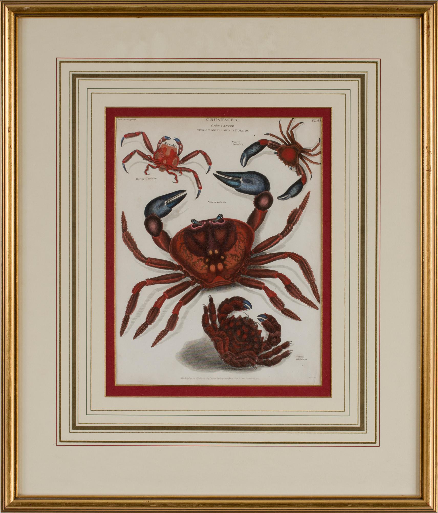 GRAVYRER, 4 stycken, tryck av Longman Hurst, Rees, Orme & Brown, Paternoster Row, tidigt 1800-tal..