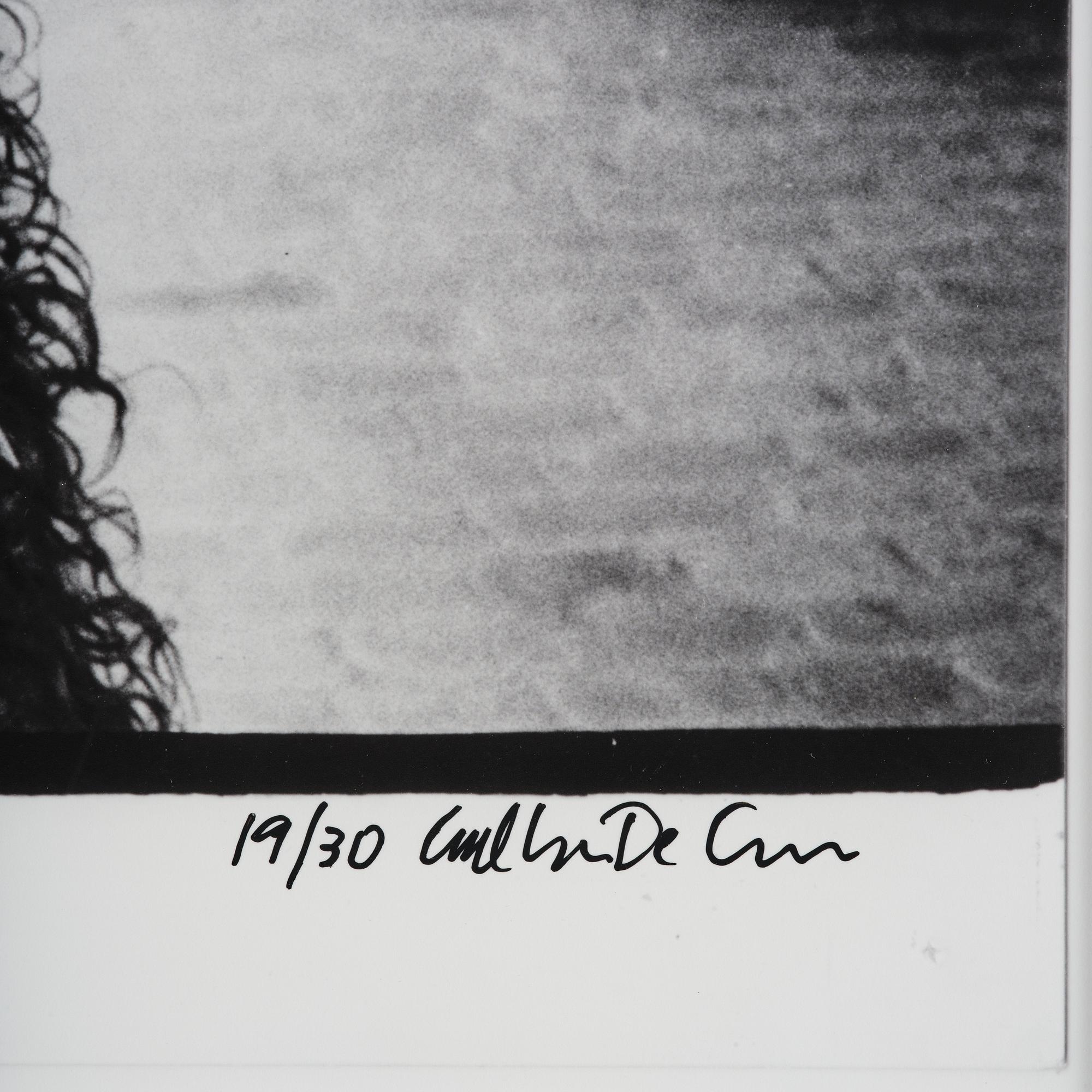 Carl Johan De Geer,  "Självporträtt 1972" (Apan Saba från Tårtan".