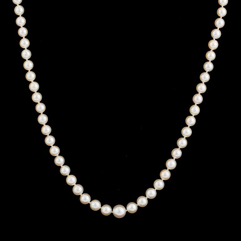 A necklace of cultured pearls with an 18K gold clasp.