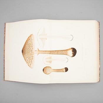 With 94 large chromolithographs of mushrooms.