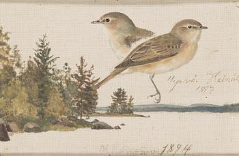 Matti Karppanen, olja på pannå, signerad.