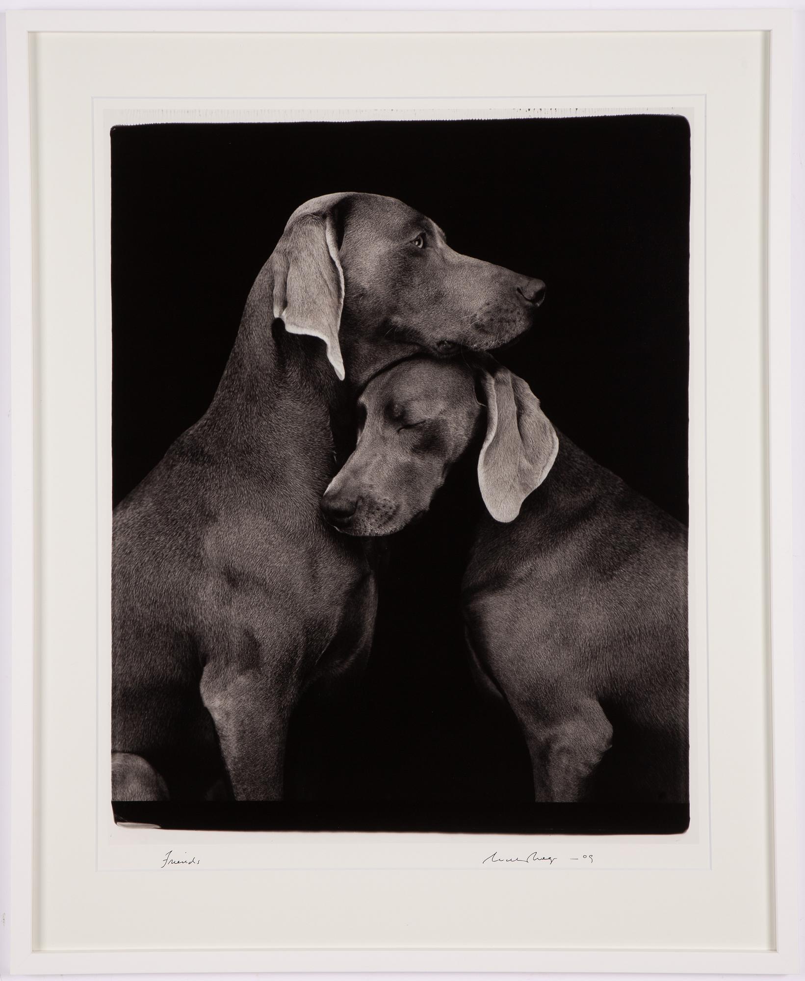 William Wegman, "Friends".