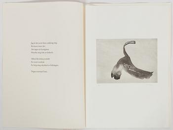 Curt Asker,/Wallace Stevens "Elva dikter".