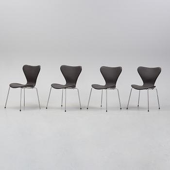 Arne Jacobsen, stolar, 4st, "Sjuan", Fritz Hansen, Danmark, 2000.