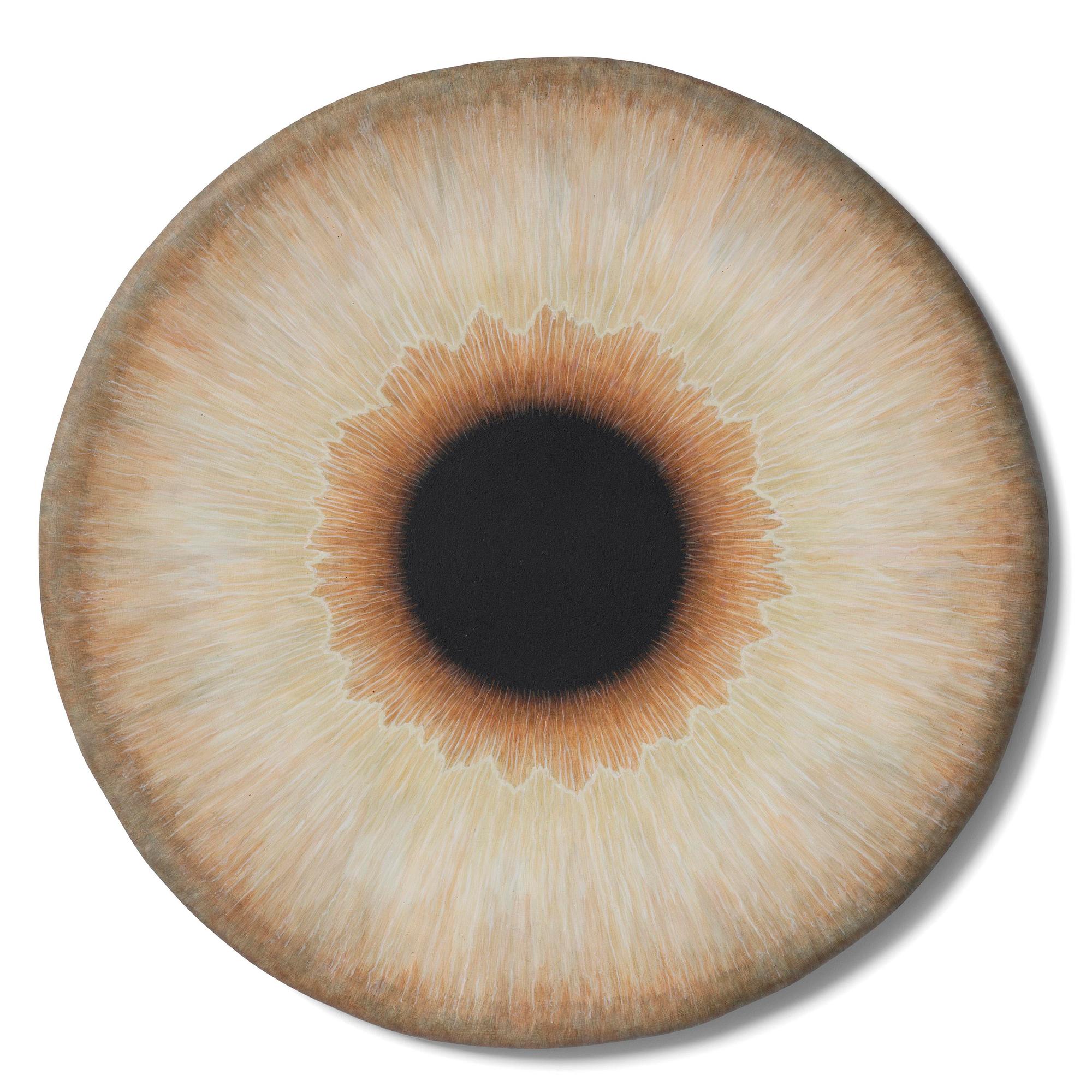 Ulla Wiggen, "Iris III".