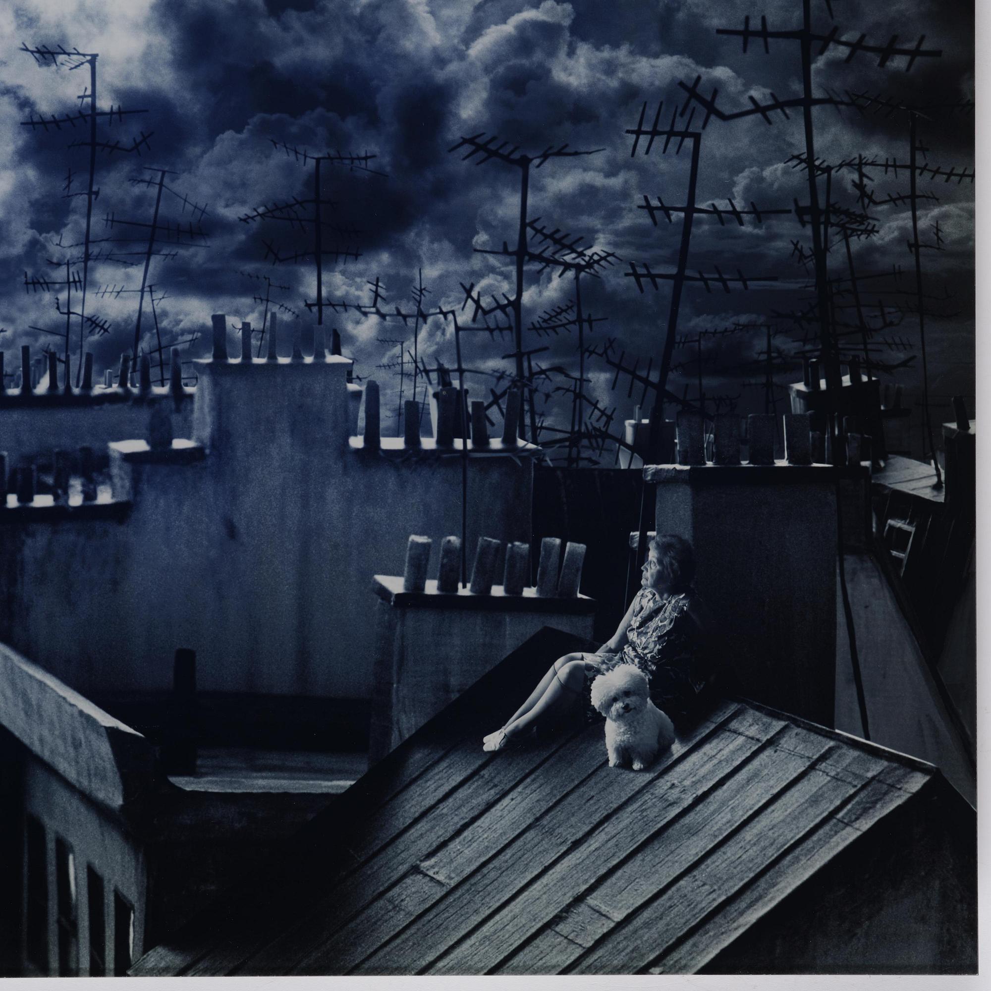 Helena Blomqvist, "Sleepless night", 2005.