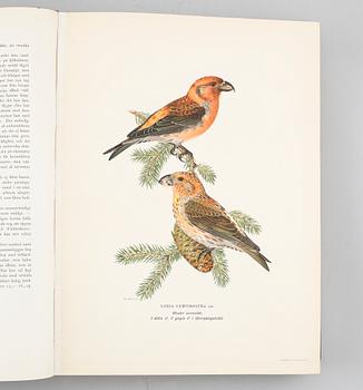 VON WRIGHT, "Svenska fåglar",