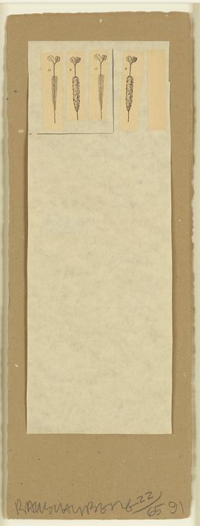 Robert Rauschenberg, from "Shirtboards".