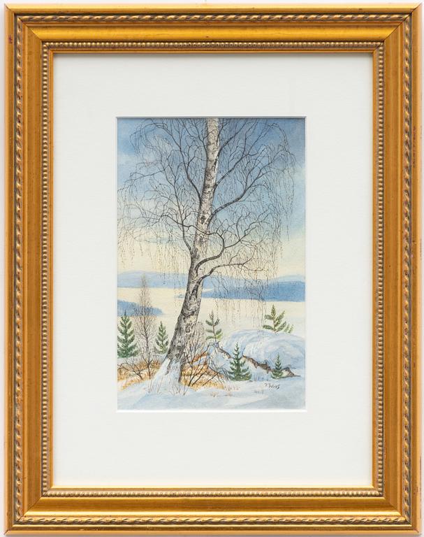 Per Julius. Vår/vinterbjörk.