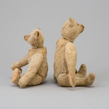 two STEIFF teddybears, Germany ca 1910.