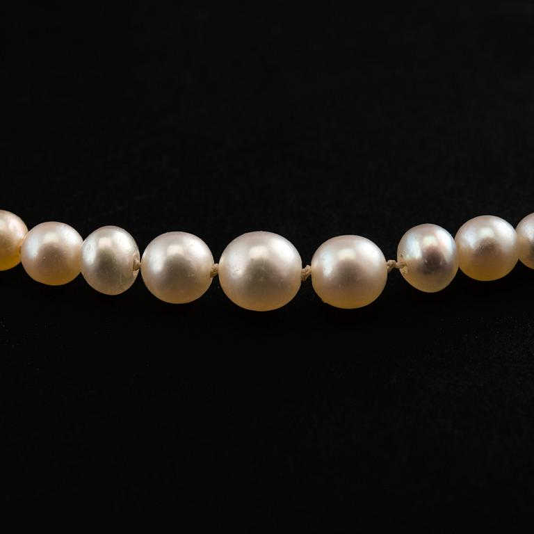A NECKLACE, oriental pearls, 5,7-1,6 mm. Clasp in 18K gold. 1910/20 s. Length 45 cm.