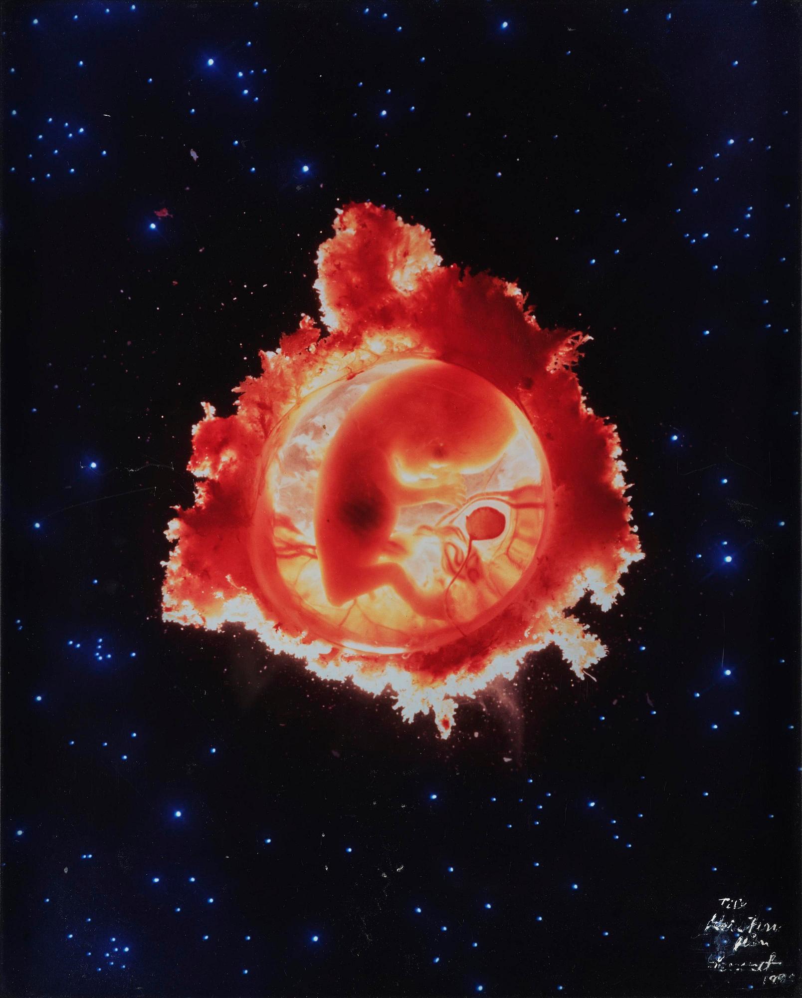 Lennart Nilsson, "Rymdfararen", 1965.