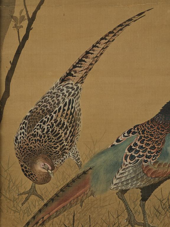 Unidentified artist, 'Pheasant pair', China, late Qing dynasty/circa 1900.