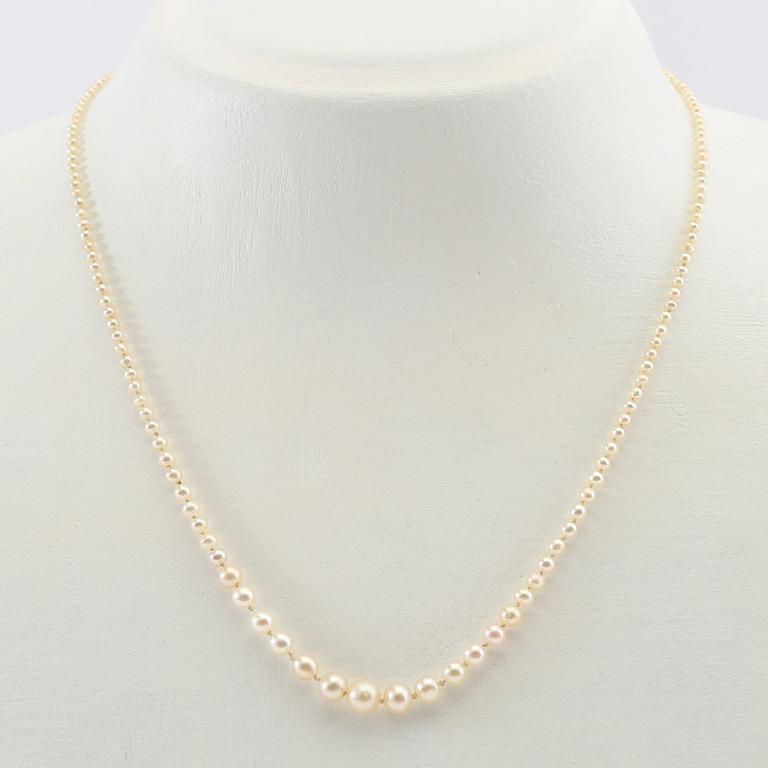 Necklace of cultured pearls with a clasp of gold set with diamonds.