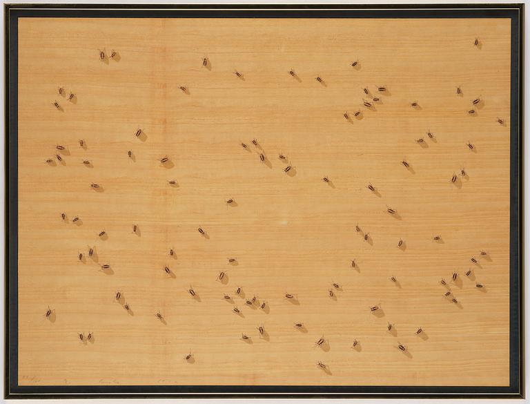 Ed Ruscha, "Flies" ur "Insects".