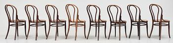 STOLAR, 8 st, Thonet, 1900-talets början.