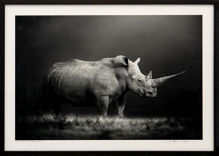 Björn Persson, "Natural Power", 2023.