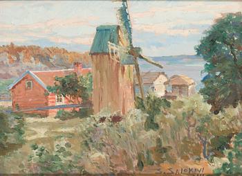 Santeri Salokivi, A view from the archipelago.