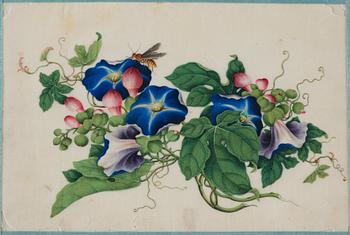 Four watercolour and ink on ricepaper paintings by unknown artist, Qing dynasty, 19th Century.