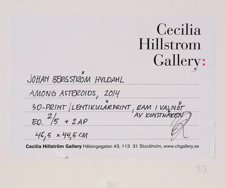 Johan Bergström Hyldahl, "Among Asteroids".