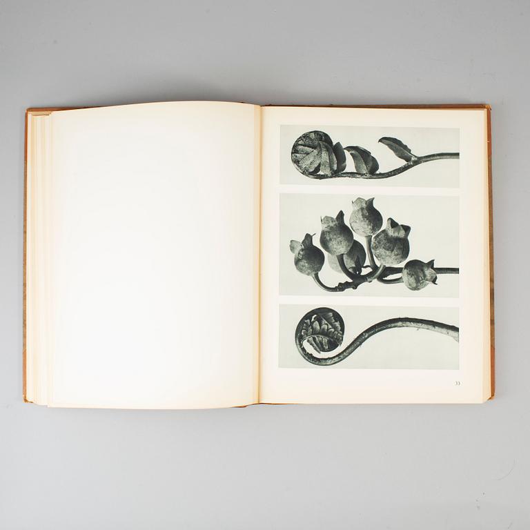 KARL BLOSSFELDT, 'Konstformer i naturen'.