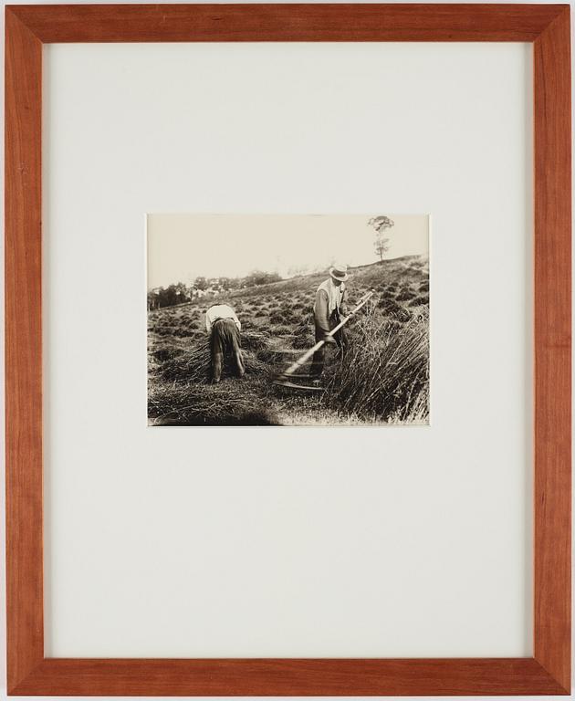 Eugène Atget, "Faucheur", before 1900.