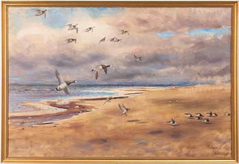 Lindorm Liljefors, Stretching geese.