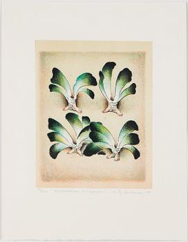 GRAFISKA BLAD, 22 st, Grafiska sällskapet, olika svenska konstnärer, signerade.