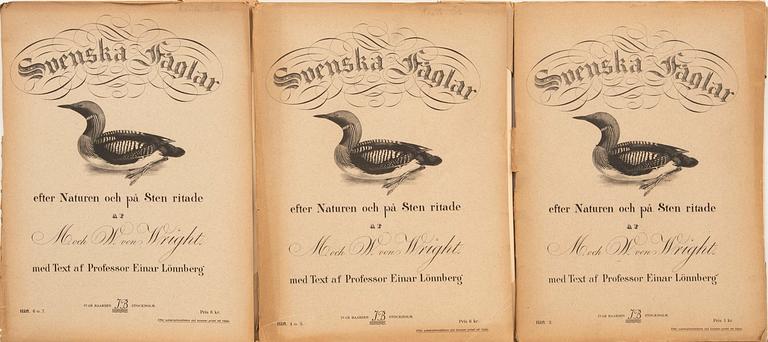 The von Wright brothers, folio work, "Swedish Birds", published by Ivar Baarsen, Stockholm 1918-1924.