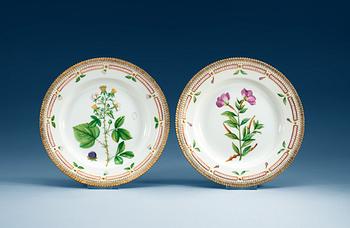 A set of six Royal Copenhagen 'Flora Danica' dinner plates, 20th Century.