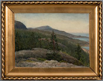 Thorsten Waenerberg, LANDSKAP FRÅN HOGLAND.