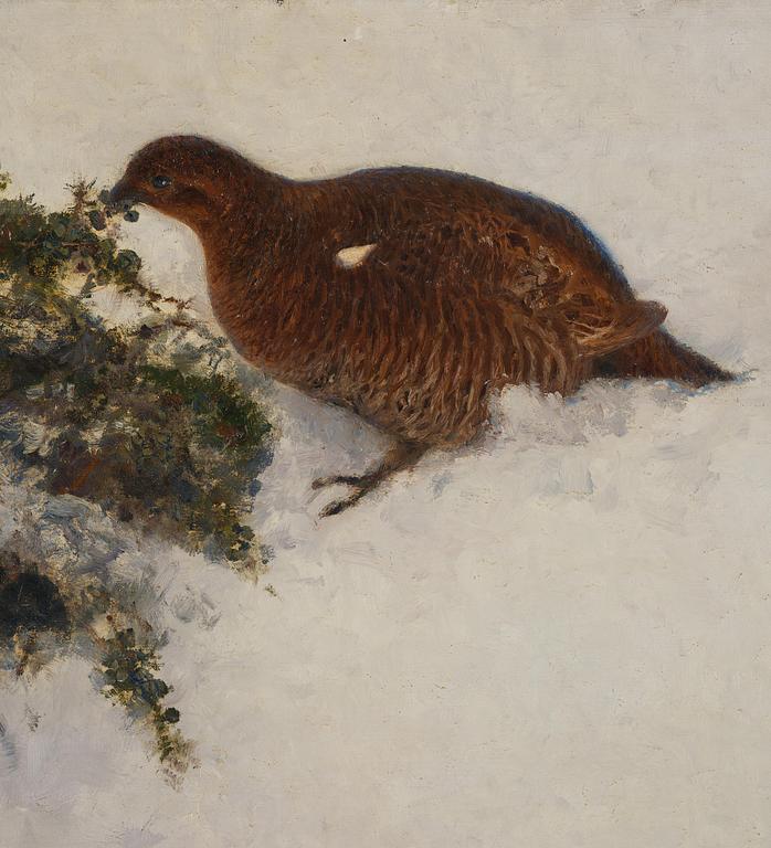 Bruno Liljefors, Capercaillie in winter landscape.