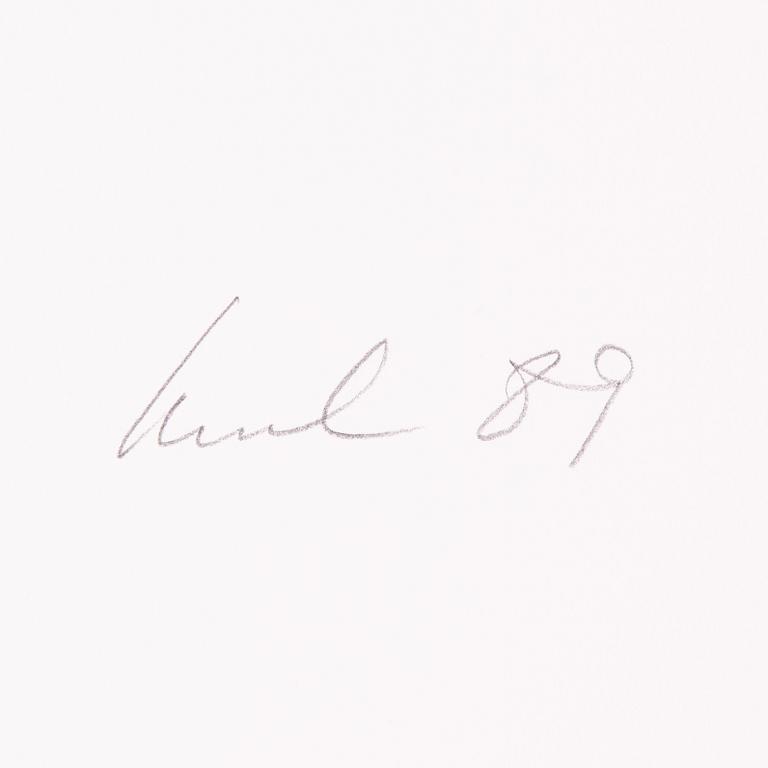 Raul Meel, "Windows and Landscape 3".