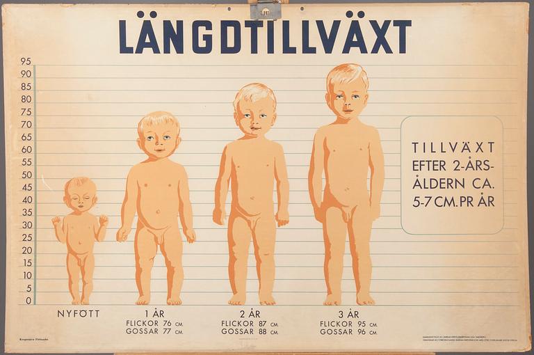 SKOLPLANSCHER, 2 st, Ljunglöfs STHLM, 1900-talets mitt.