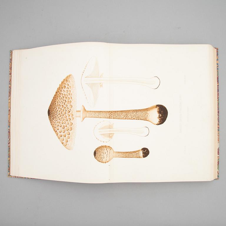 With 94 large chromolithographs of mushrooms.