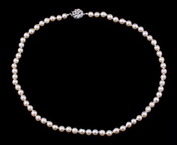 PÄRLCOLLIER.