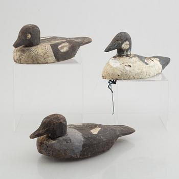 A set of three decoy ducks, early 20th Century.