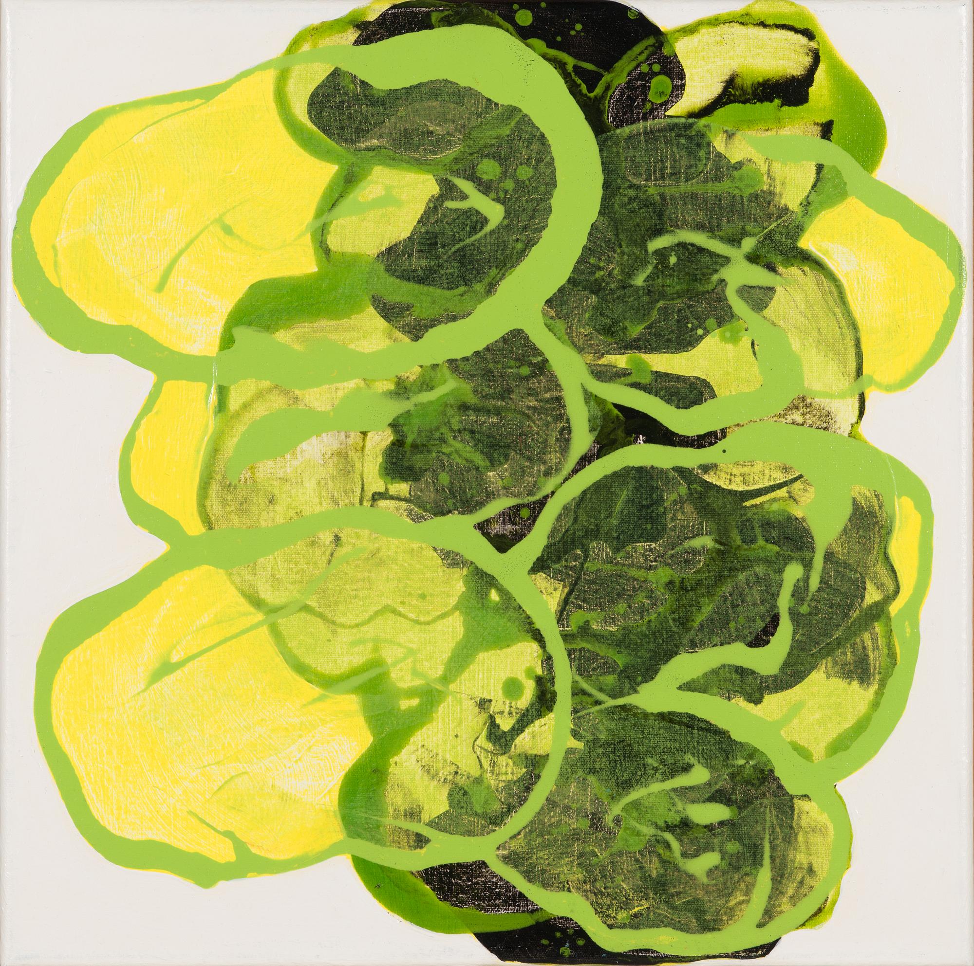 Panu Ruotsalo, "Photosynthesis".