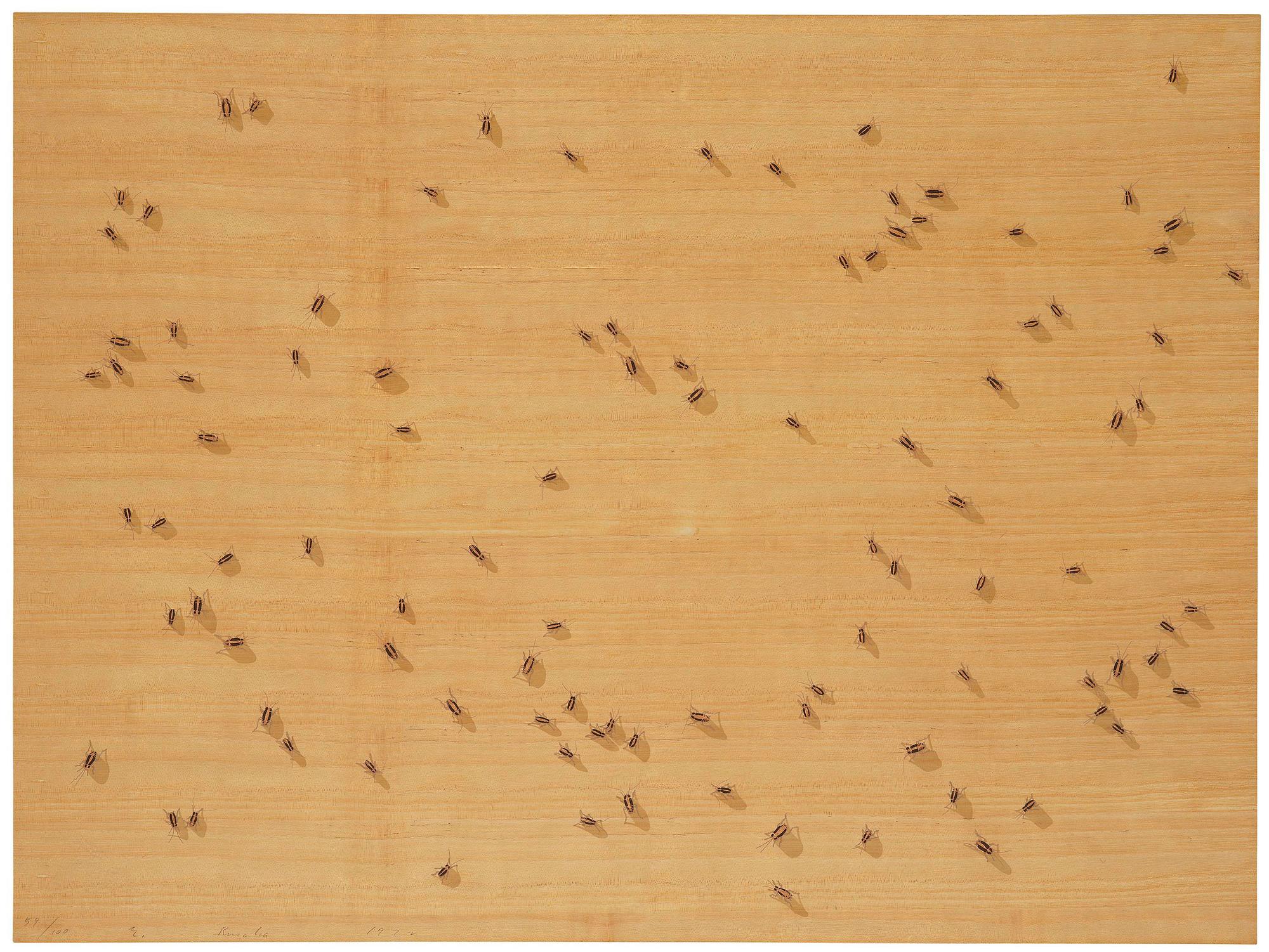 Ed Ruscha, "Flies" ur "Insects".
